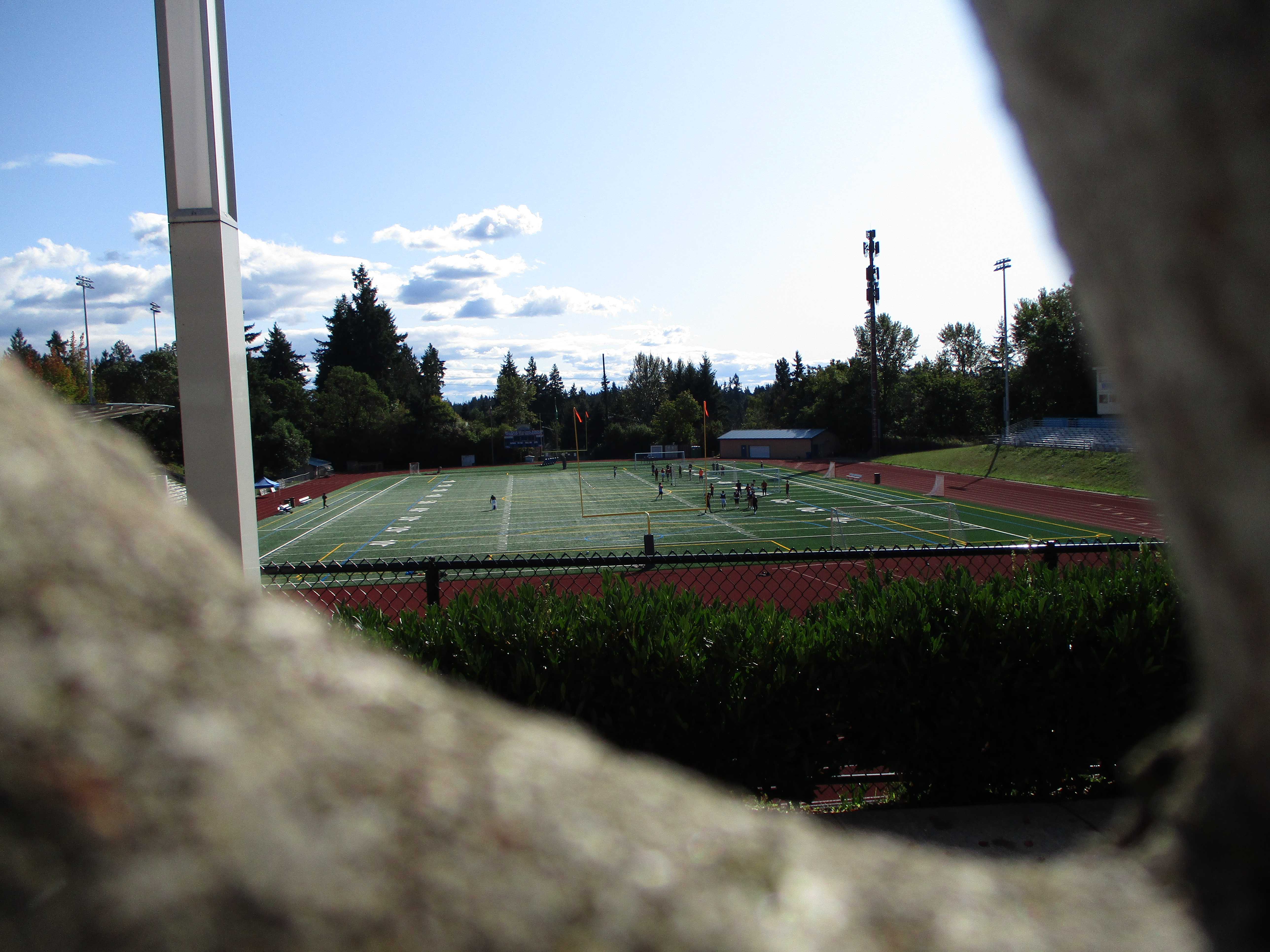 Bellevue High School