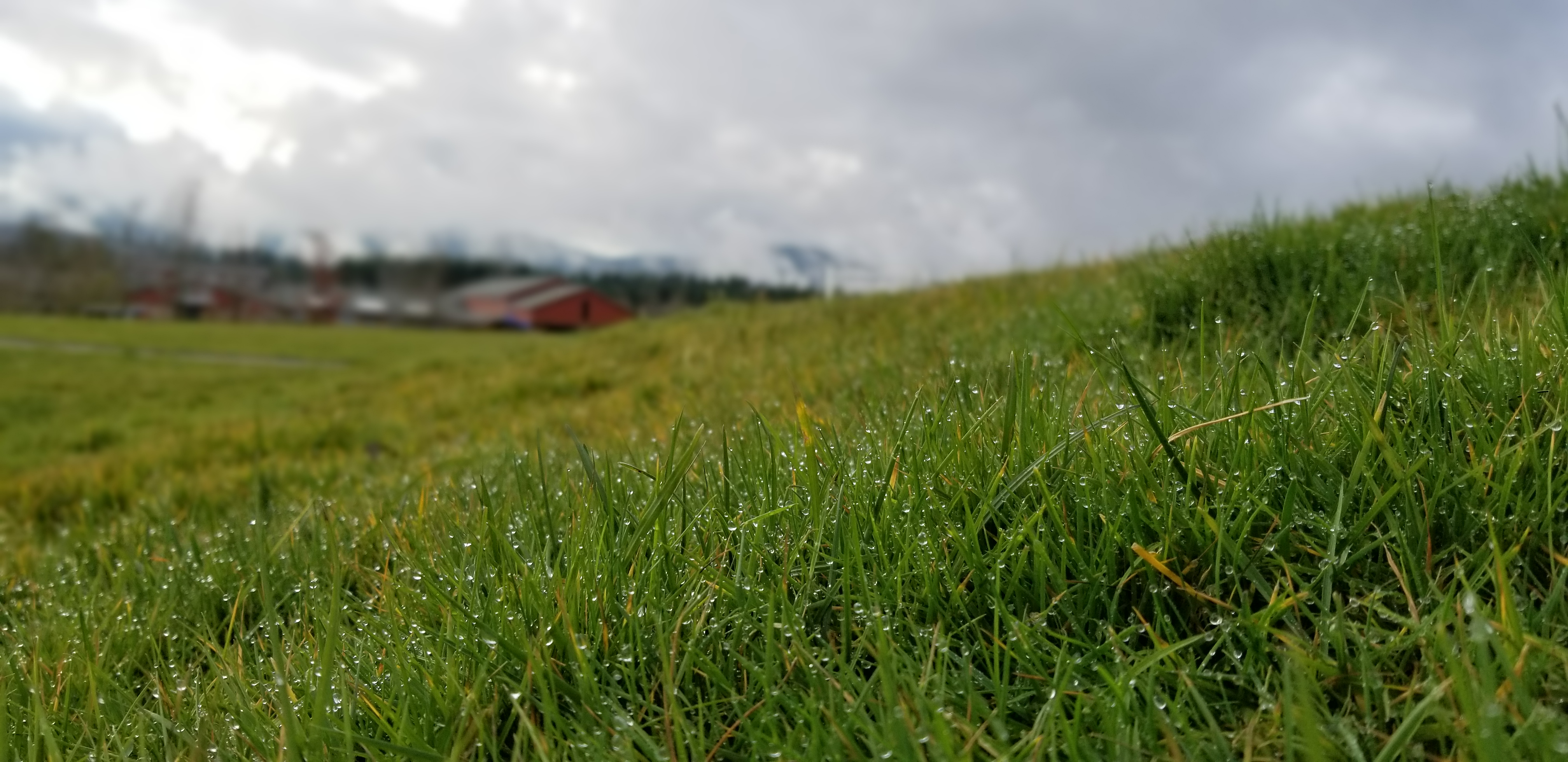Snoqualmie