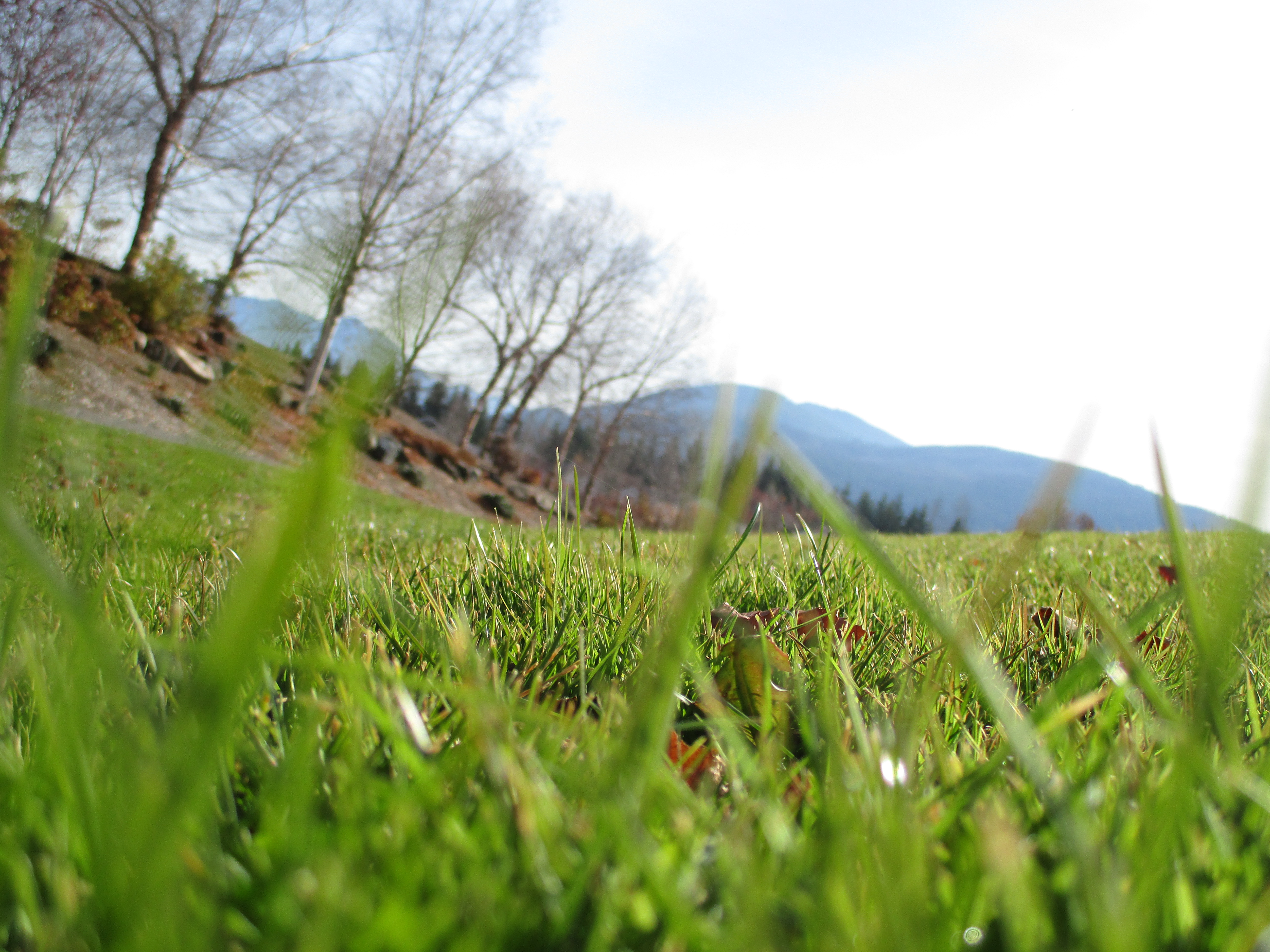 Snoqualmie